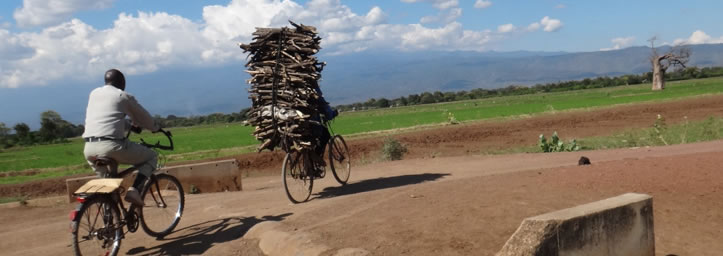 Landscape with bikes